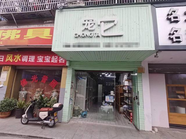 （青庭 宠物店）香港城三街好位置宠物店生意转让