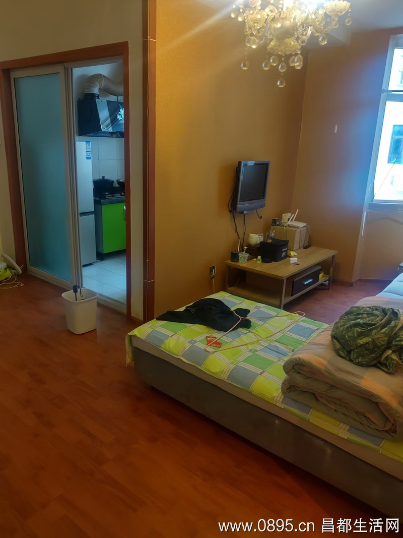 昌都花園電梯住房一室一廳出租