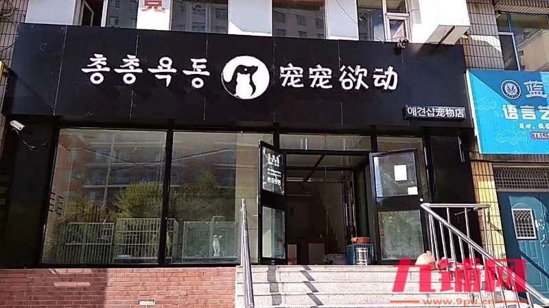 宠物店旺店出兑，位置极好，适合经营各种场所