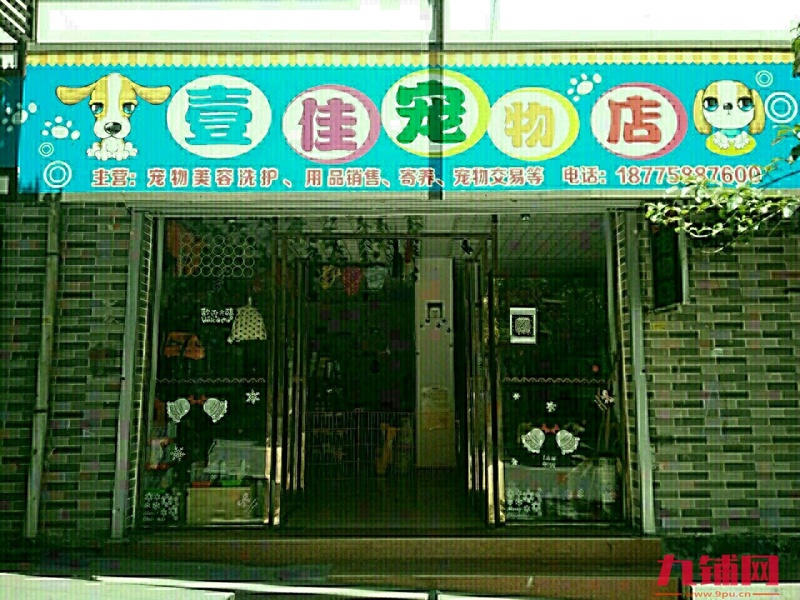 营业中宠物店转让